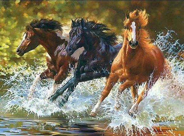 600x445 Diy Painting By Numbers - Horse For Painting