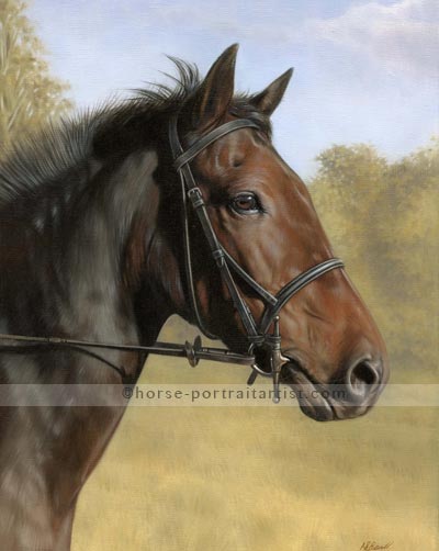 400x502 Horse Oil Portraits Gallery By Nicholas Beall - Horse For Painting