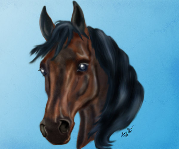 600x500 Horse Head Digital Painting By Elvenravenwolf - Horse Head Painting