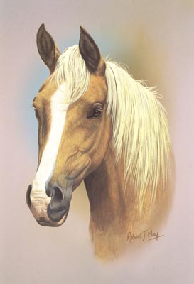 273x400 Horse Head Study Print Rmhh1 - Horse Head Painting
