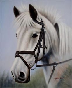 247x300 White Horse Head Portrait, Hand Painted Oil Painting, 20x24in Ebay - Horse Head Painting