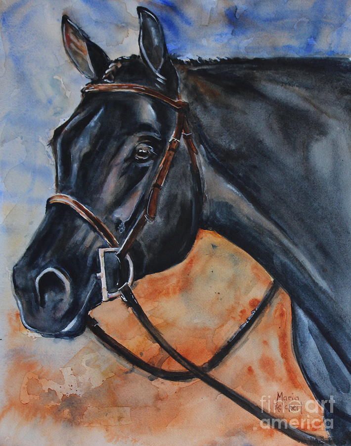 710x900 Black Horse Head Painting By Maria's Watercolor Art - Horse Head Painting