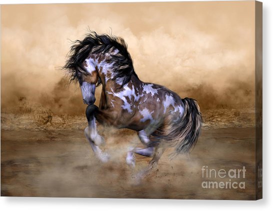 546x422 Horse Head Canvas Prints Fine Art America - Horse Head Painting Canvas