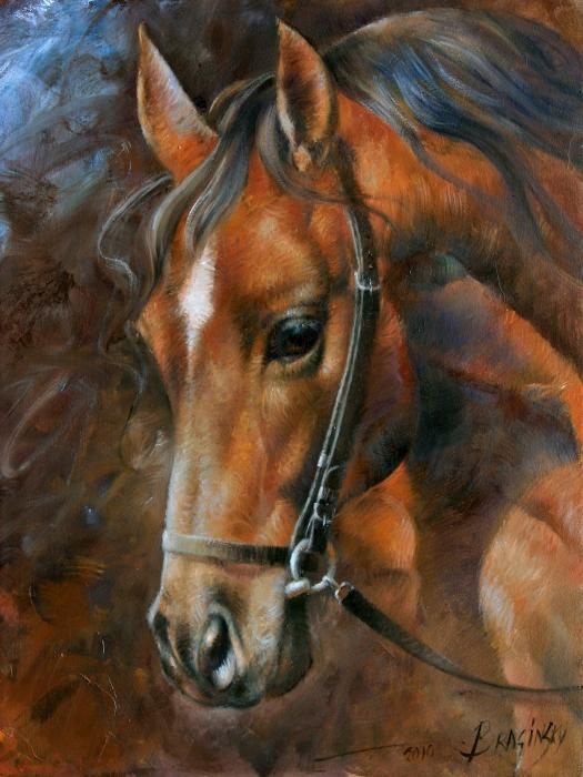 525x700 Love This Painting Perfection Art Oil Paintings Photography - Horse Head Painting Canvas