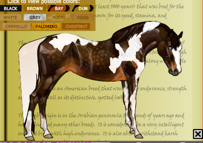 405x286 Horse Isle Morab Paint Variations By Timetoflylusa78 - Horse Isle Painting