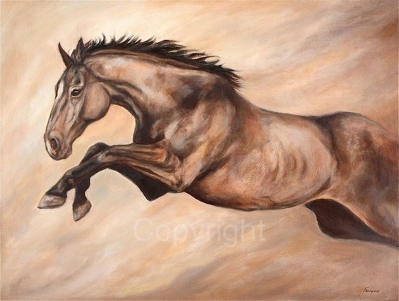 570x430 Horse Jumping Fine Art Original Oil Painting - Horse Jumping Painting