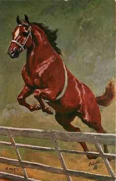 236x368 Flying Paint! Horses - Horse Jumping Painting