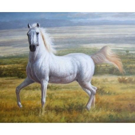 458x458 Horses Oil Painting 27 Art Gallery Oil Painting Reproductions - Horse Oil Painting