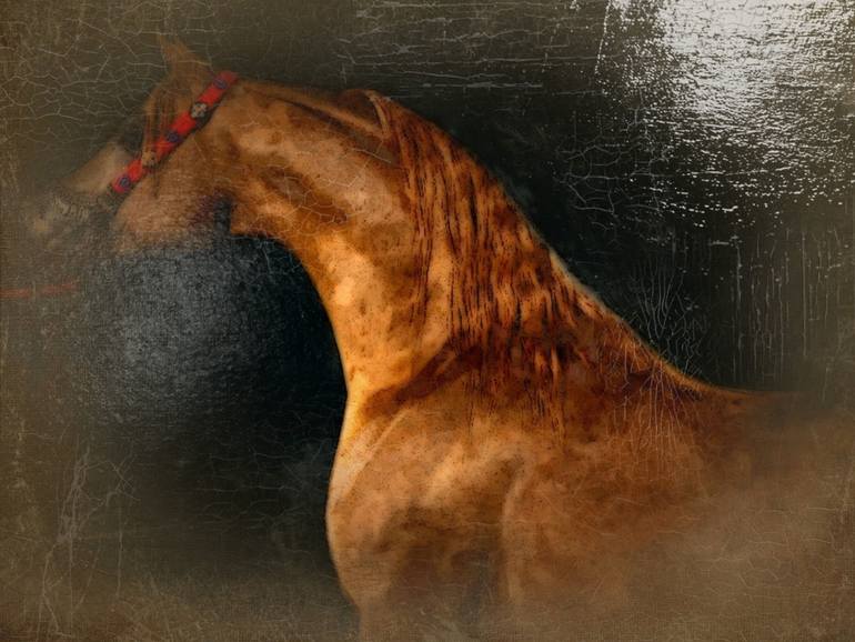 770x578 Saatchi Art Arabian Horse Oil Painting Painting By Sabrina Mejias - Horse Oil Painting