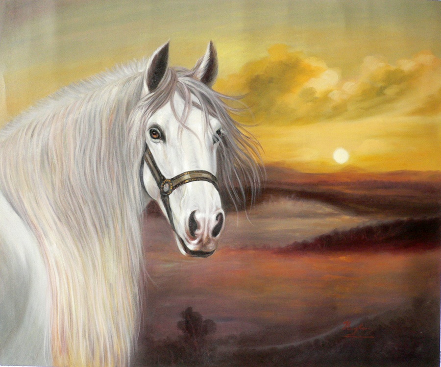 900x749 Animal Oil Painting Art - Horse Oil Painting