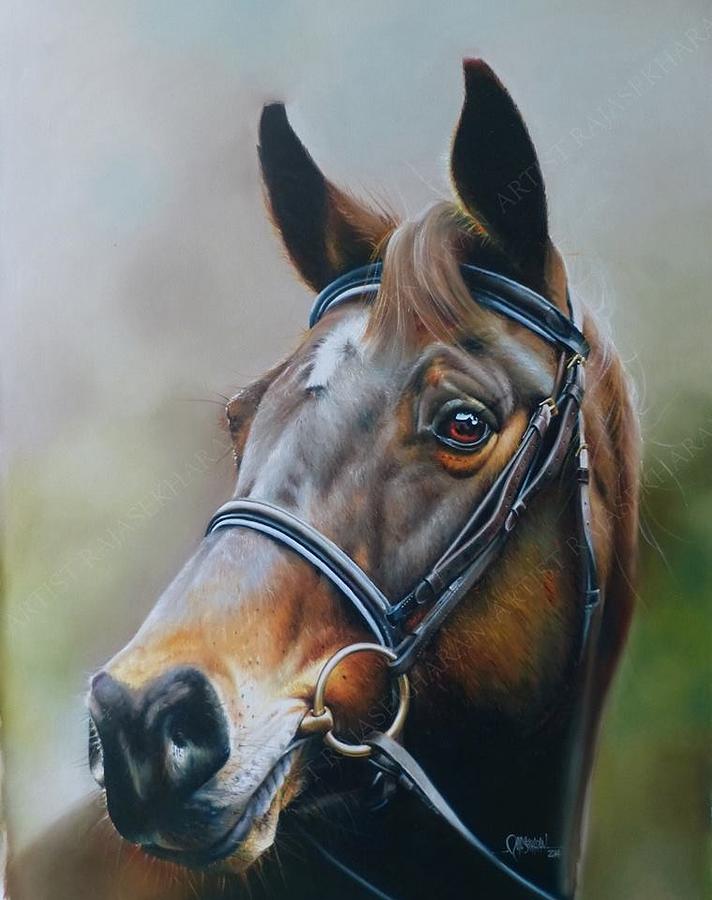 712x900 Horse Oil On Canvas Painting By Rajasekharan Parameswaran - Horse Oil Painting On Canvas