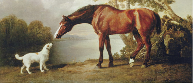 797x345 George Stubbs, Art History Amp Styles Of Art - Horse Painting Artists