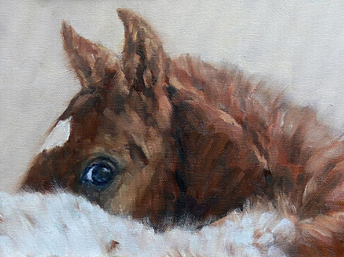 500x374 Horse Artist Interview Ruth Andre The Equinest - Horse Painting Artists