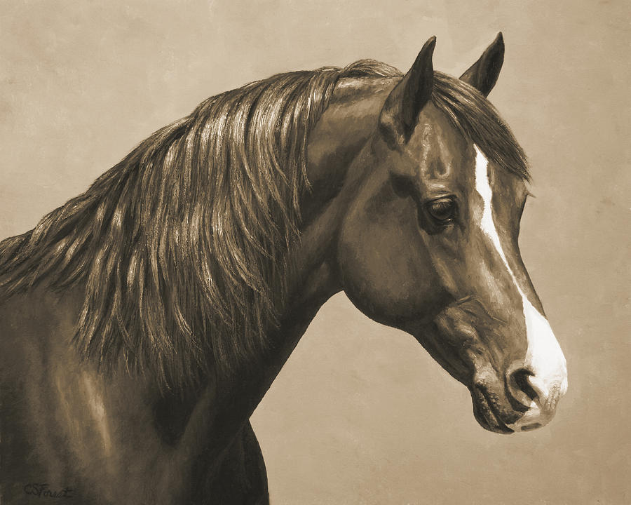 900x720 Morgan Horse Painting In Sepia Painting By Crista Forest - Horse Painting Artists