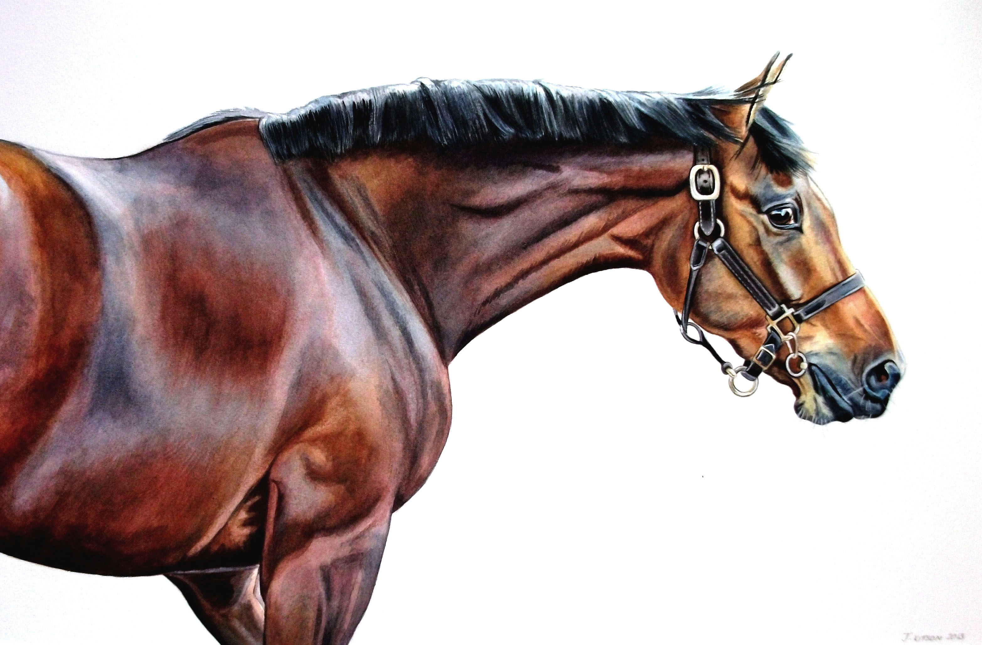 3130x2055 News Local Artist To Exhibit At St. Leger Festival Alternative - Horse Painting Artists