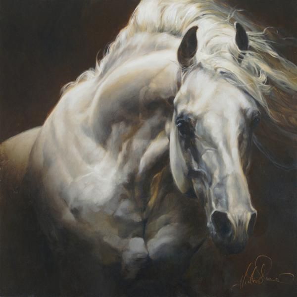 600x600 79 Best Horses For Jen Amp Sera Images On Horses, Horse - Horse Painting Artists