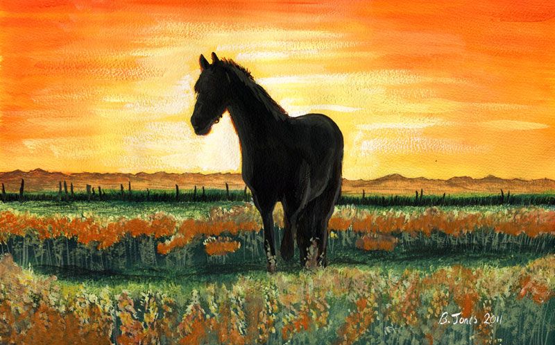 800x497 Image Result For Easy Pretty Horse Painting Paint Art - Horse Painting Easy