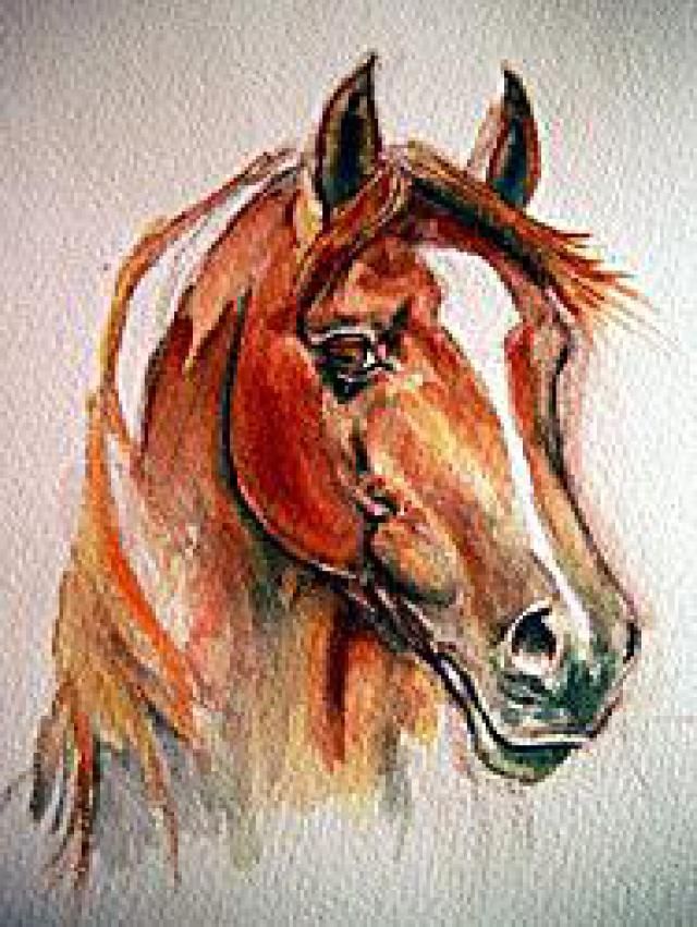 640x851 Is It Easy To Use Watercolors To Paint A Horse Watercolor Horse - Horse Painting Easy