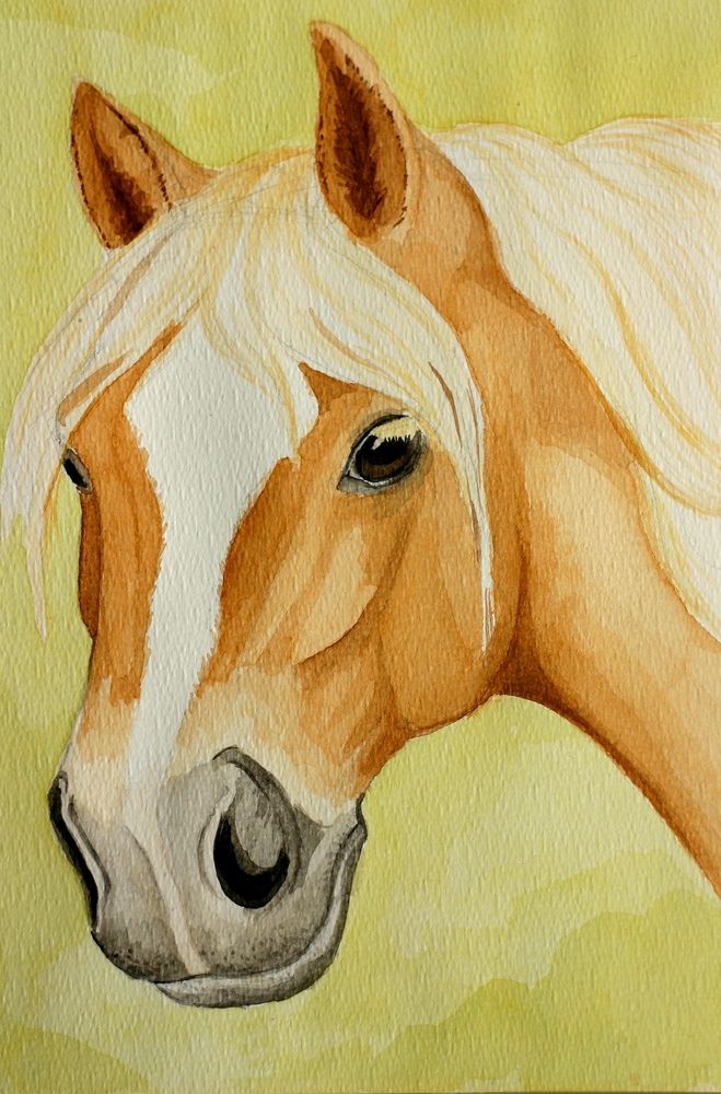 659x1000 Kids Class Horse Easy Painting Kids Class, Horse - Horse Painting Easy