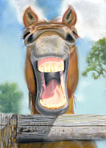 215x300 Laughing Horse Paintings Fine Art America - Horse Painting Easy