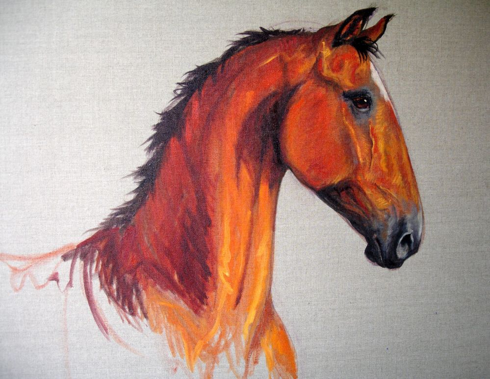 999x773 Dior Horse Portrait Oil Painting Aafke Art 5 Aafke Art - Horse Painting Easy