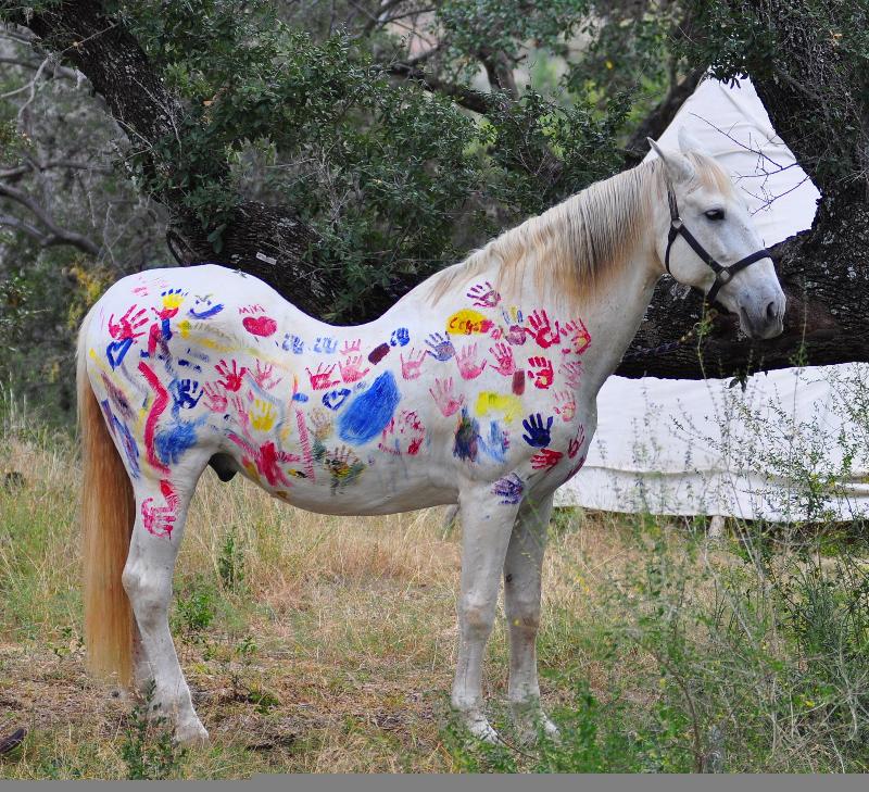 800x729 Holiday News From The Phoenix Center - Horse Painting For Kids