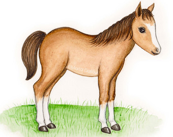 340x270 Lamb Art Print. Farm Barn Animal Nursery Art. Kids Room Art - Horse Painting For Kids