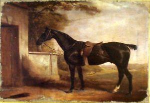 300x207 Horse Painting Ebay - Horse Painting Images