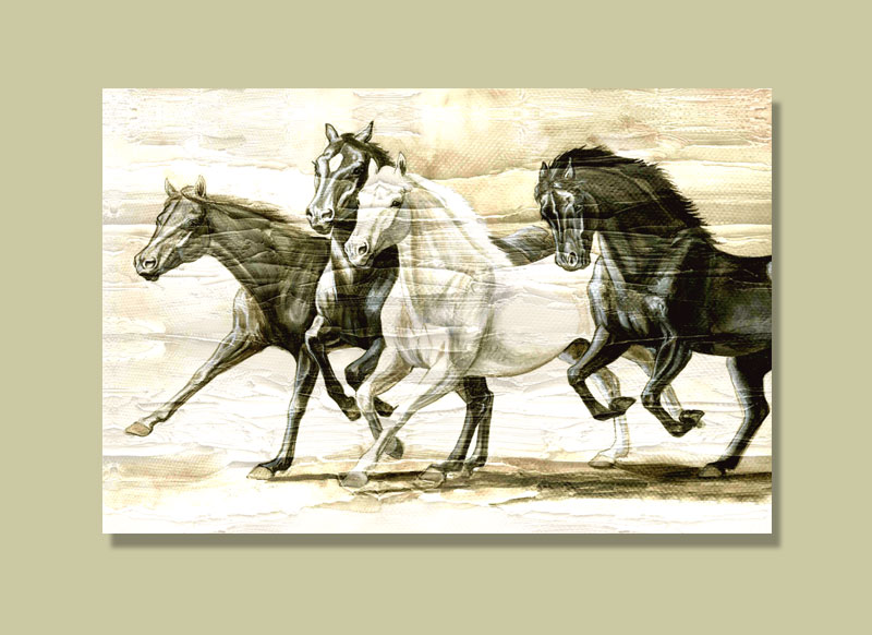 800x582 Online Shopping Horse Painting On Canvas Canvus.in - Horse Painting Images