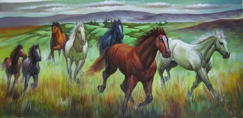 500x244 Shop Horses, White Horse, Running, Lucky, Vastu, Animals, Birds - Horse Painting Online