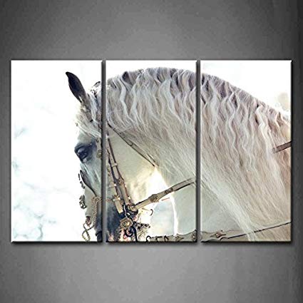 425x425 3 Panel Wall Art Beautiful White Horse Painting - Horse Panel Painting