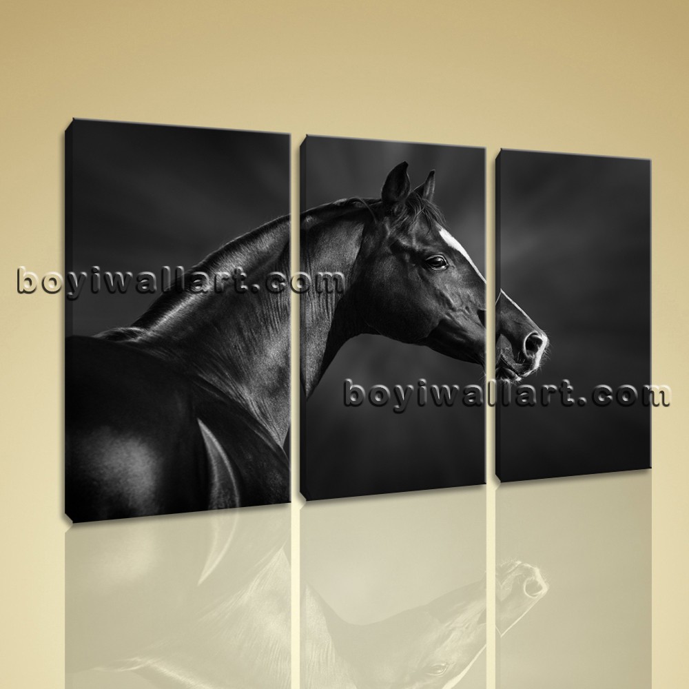 1000x1000 3 Panels Framed Dark Horse Painting Hd Print On Canvas Abstract - Horse Panel Painting