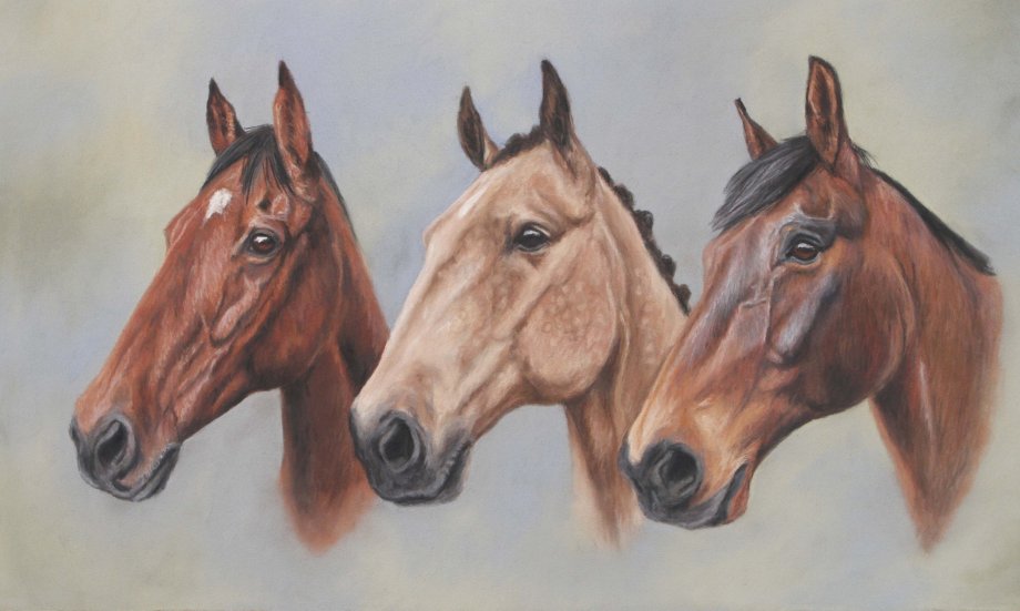 920x551 Horse Portrait Horse Portraits Sarahs Pet Portraits - Horse Portrait Painting