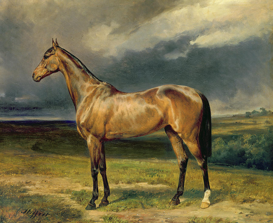 900x735 Horse Portrait Paintings Fine Art America - Horse Portrait Painting