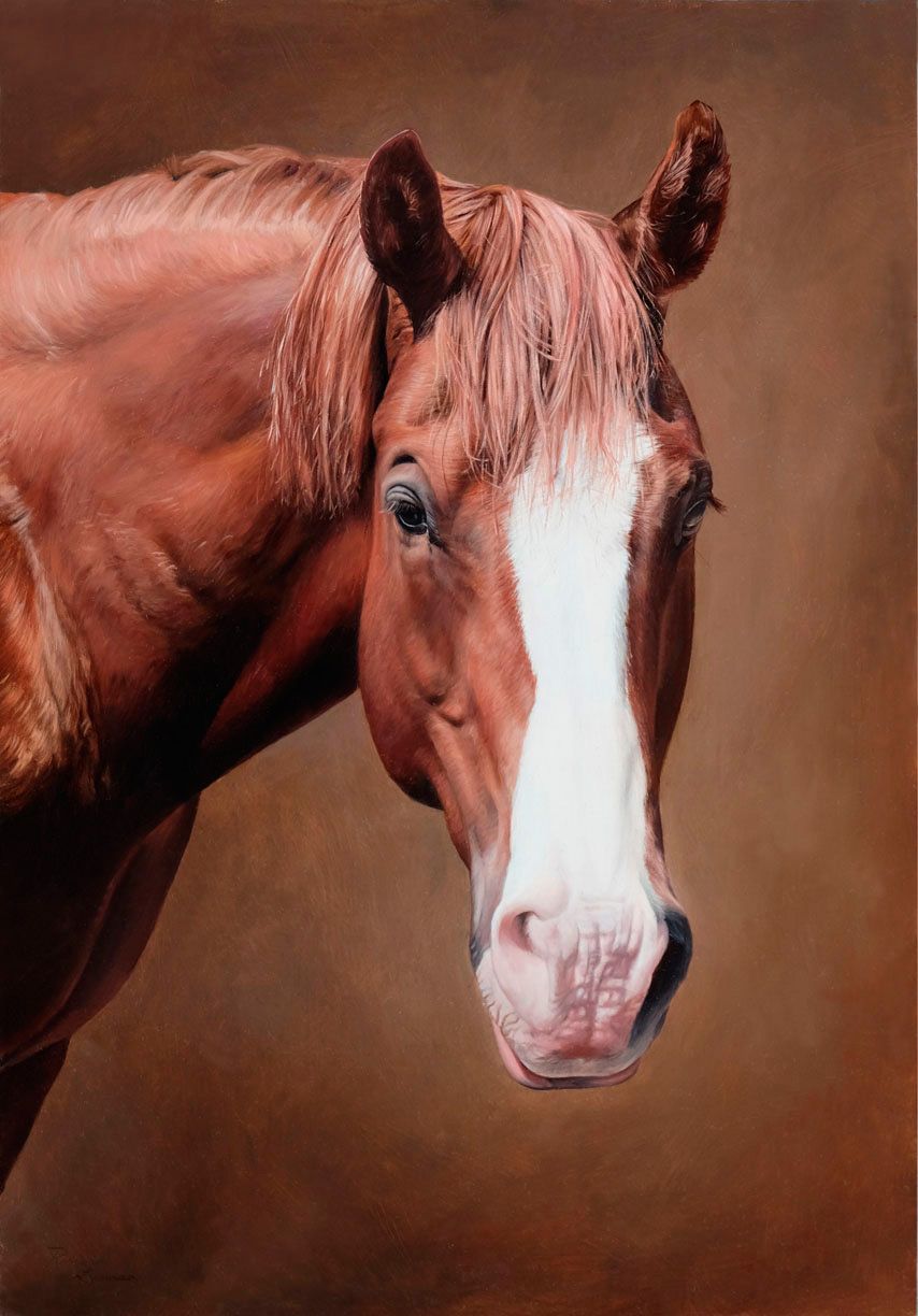 854x1224 Horse Portrait Painted By Rebecca Luncan. Art - Horse Portrait Painting