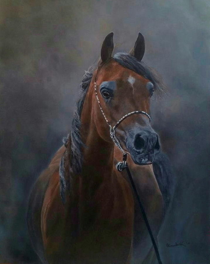 717x900 Arabian Horse Portrait Painting By Erna Goudbeek - Horse Portrait Painting