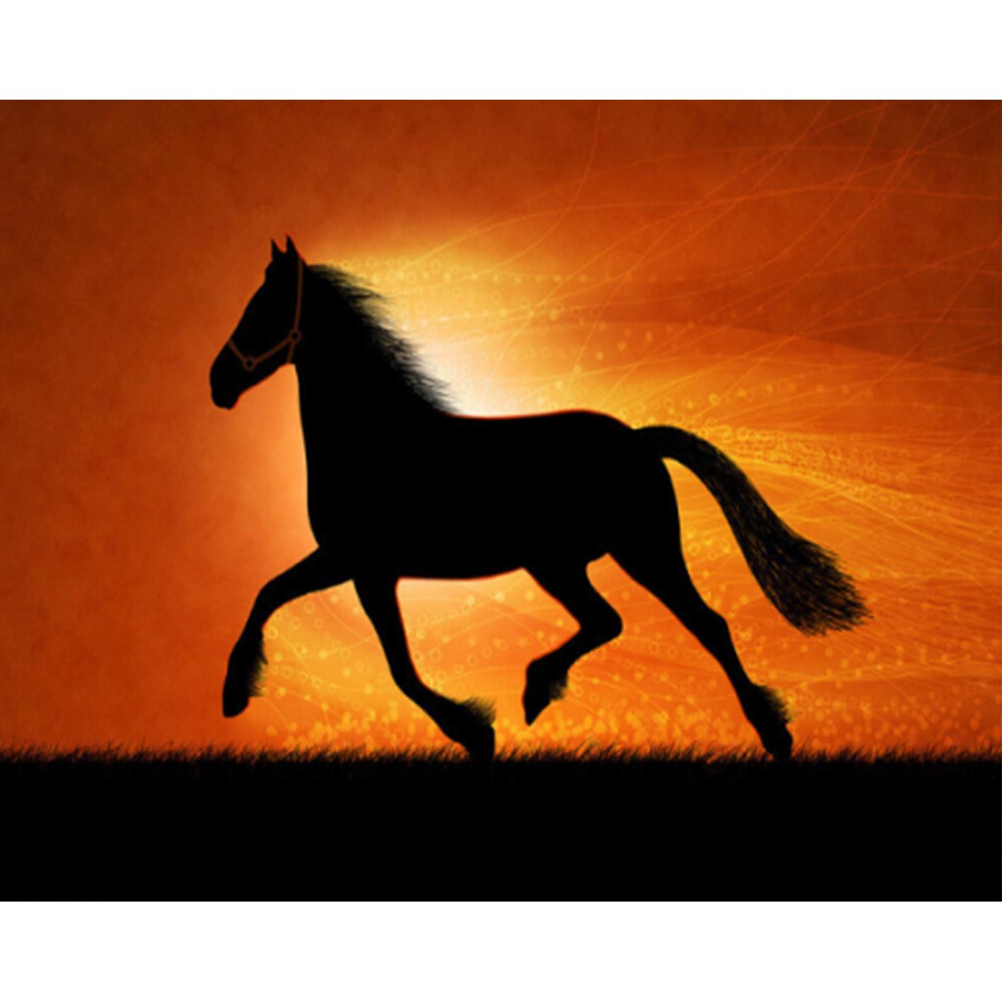 Horse Silhouette Painting at PaintingValley.com | Explore collection of ...