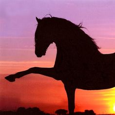 236x236 Whimsical Raindrop Cottage Horsesornothing Sunset Mare By - Horse Silhouette Painting