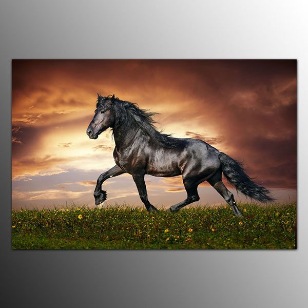 600x600 Framed Art Prints On Canvas For Living Room Black Horse Wall Art - Horse Wall Painting