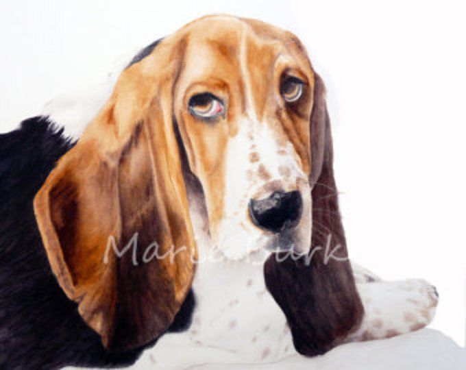 680x540 Rupert, The Basset Hound - Hound Dog Painting