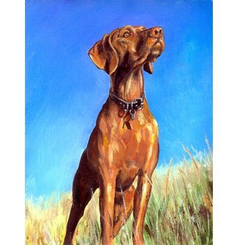 480x480 Vizsla Hound Dog Art 8x10 Print Of Original By Dottiedracos - Hound Dog Painting