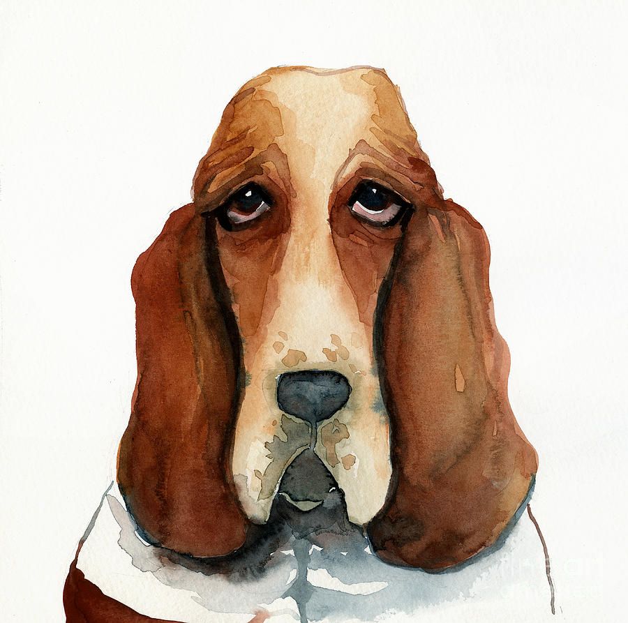 Hound Dog Painting at PaintingValley.com | Explore collection of Hound ...