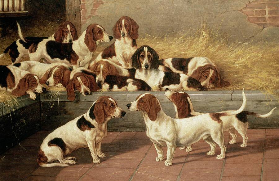 900x586 Basset Hounds In A Kennel Painting By Vt Garland - Hound Painting
