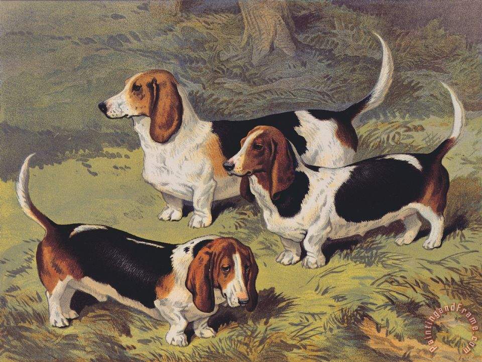 960x721 English School Basset Hounds Painting - Hound Painting