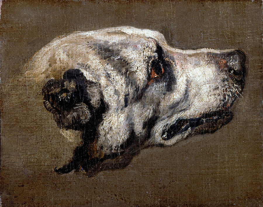 900x709 Head Of A Hound Painting By Pieter Boel - Hound Painting
