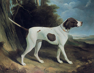 300x235 Hound Paintings Fine Art America - Hound Painting