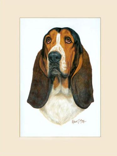 373x497 Original Basset Hound Painting 2 - Hound Painting