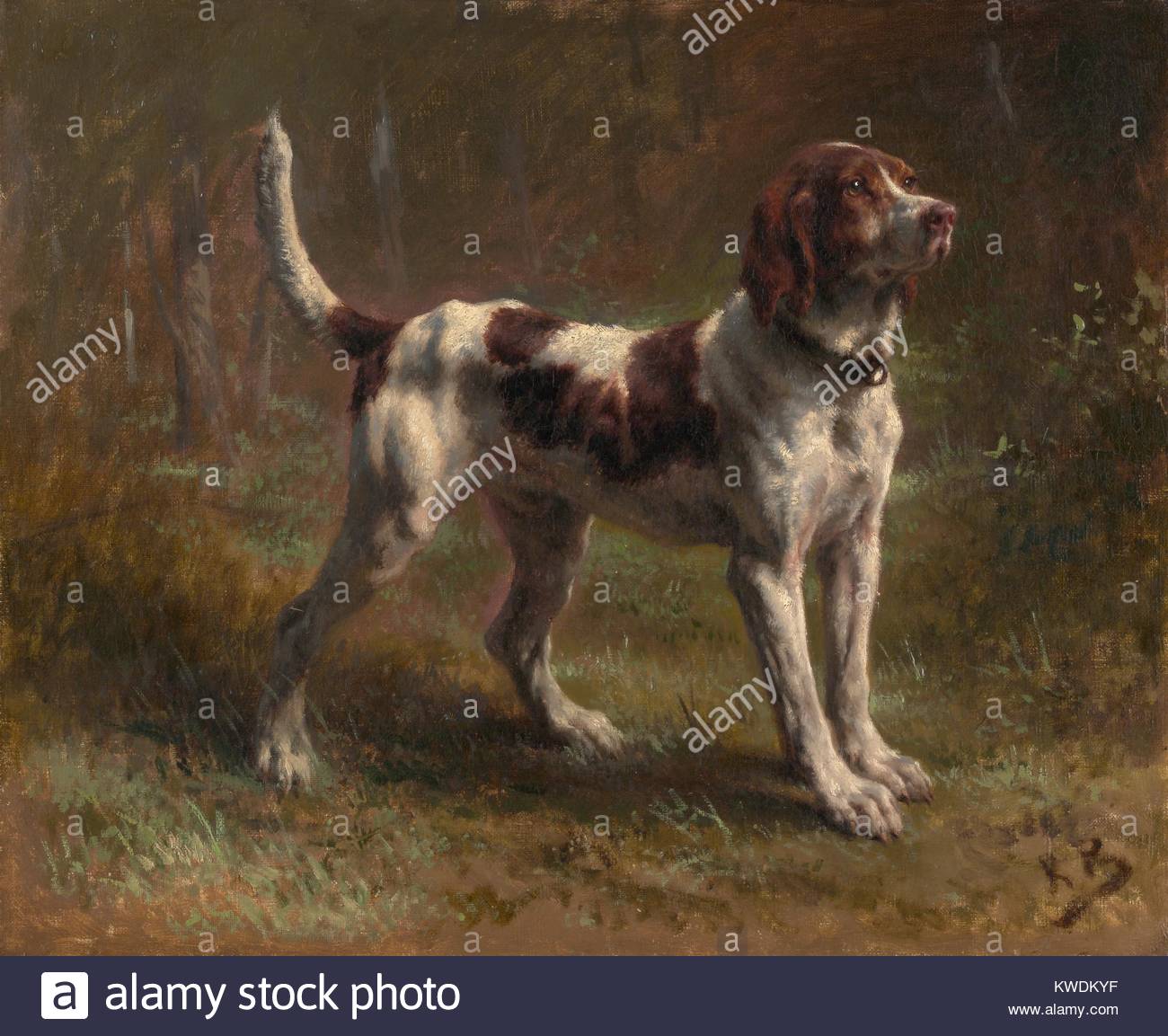1300x1153 A Limier Briquet Hound, By Rosa Bonheur, 1856, French Painting - Hound Painting
