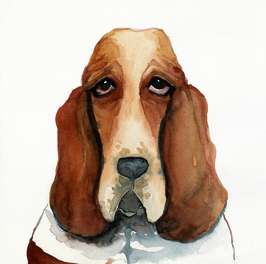 900x893 Basset Hound Painting By Leanne Wilkes - Hound Painting