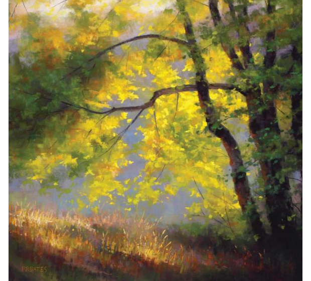 620x559 Painting Sunlight And Shadow With Pastels - How To Painting With Pastels